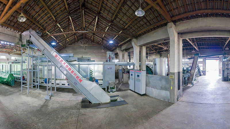 綠茶清潔自動化生產線